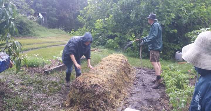 Making good compost – a biodynamic perspective for well balanced compost