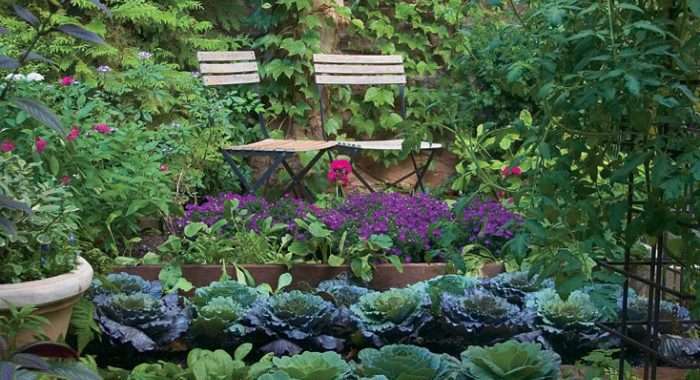 Organic garden design principles – working with beauty, goodness and truth